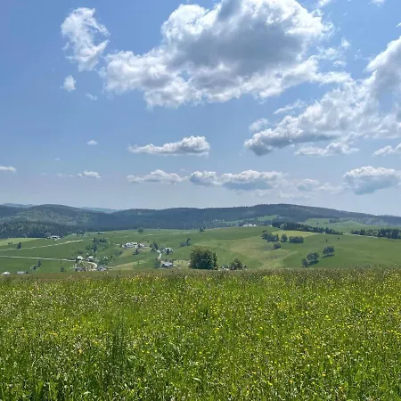 Neue Mit Whirlpool Und Sauna In Der Residenz Grafenmatt Inklusive Hochschwarzwaldcard Feldberg (Baden-Wurttemberg)